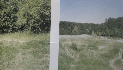 Meadow | VISITING hfg OF_MAIN Interventionen #2 2020