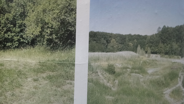 Meadow | VISITING hfg OF_MAIN Interventionen #2 2020